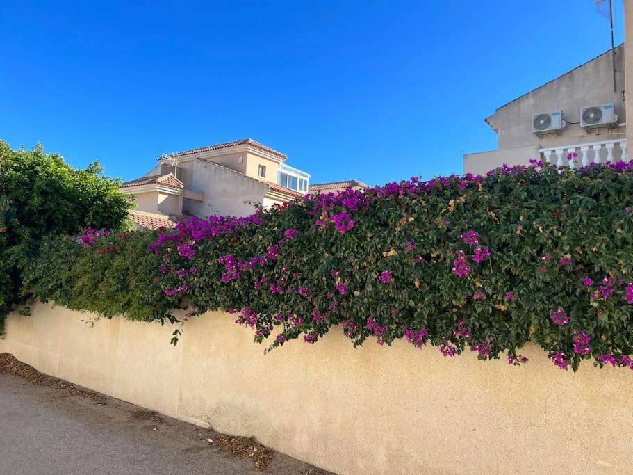 Club Salino 18 Apartment Torrevieja Luaran gambar