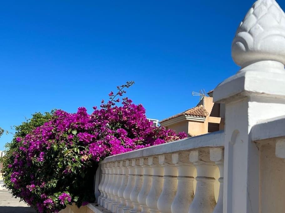 Club Salino 18 Apartment Torrevieja Luaran gambar